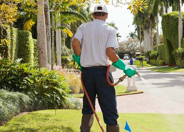 About Chestnut Hill MA Pest Control Pros